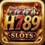 H789 Game